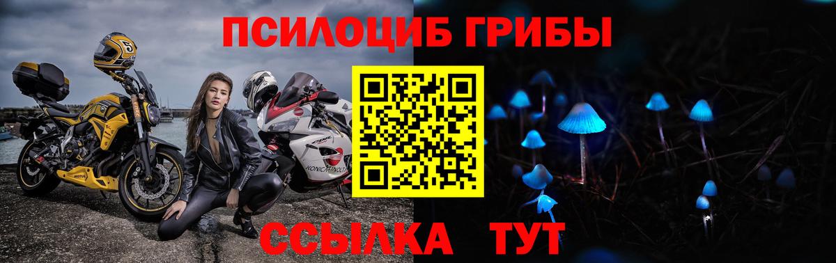 Ишимбай  Галлюциногенные грибы Psilocybe  Вход с VPN 
